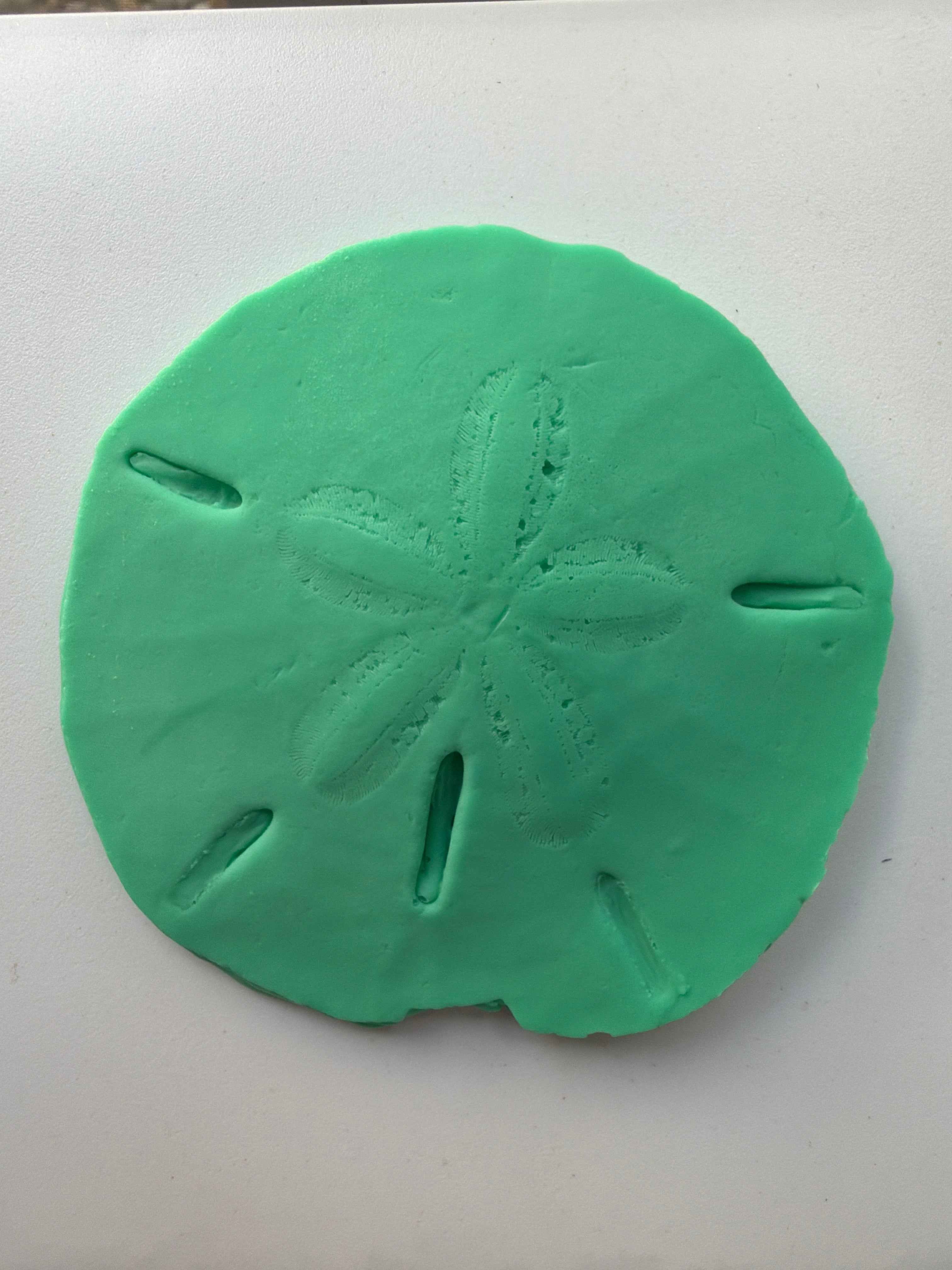 Coastal Calm Sand Dollar Collection Set of 2 Soap Bars