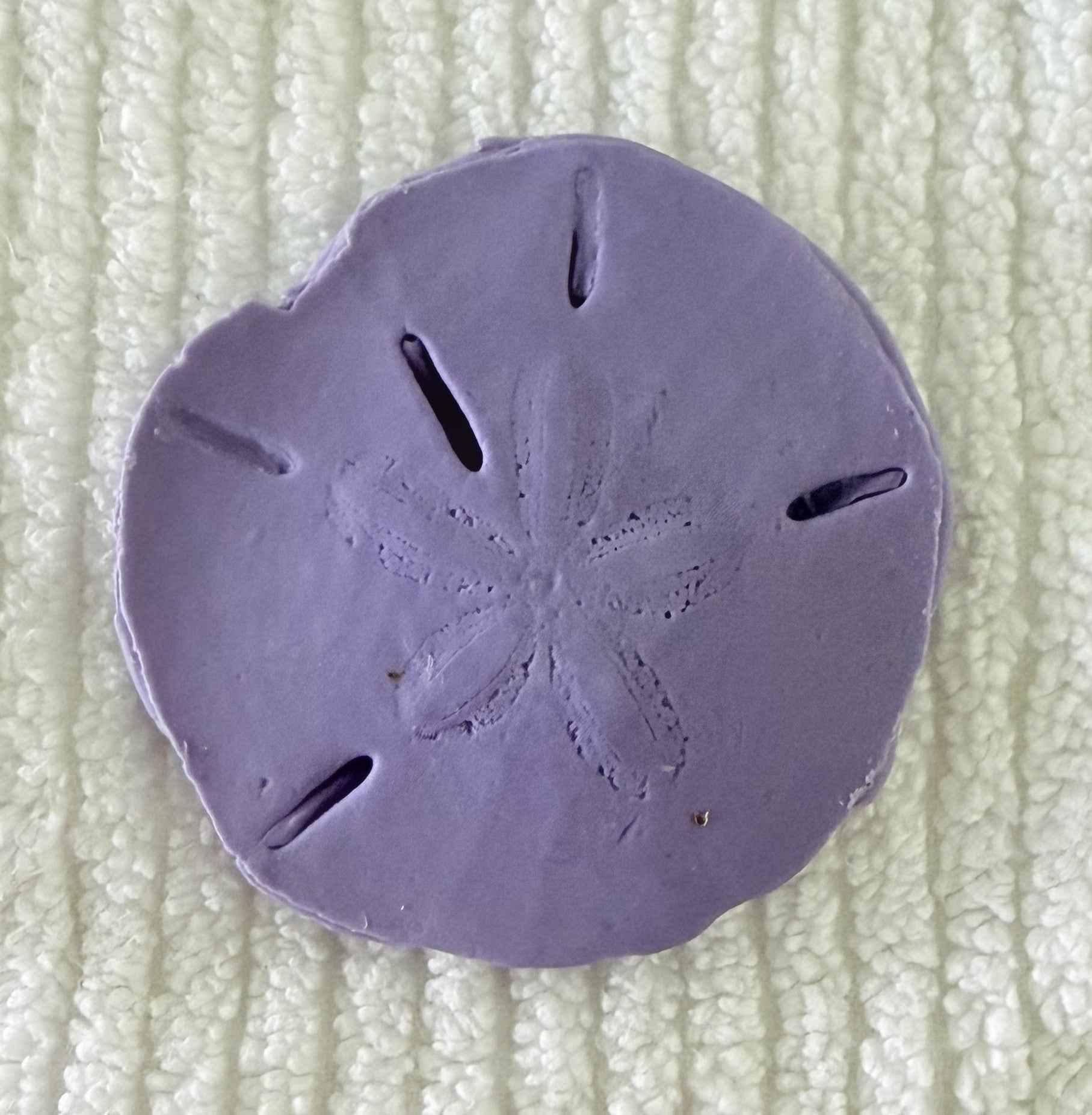Coastal Calm Sand Dollar Collection Set of 2 Soap Bars