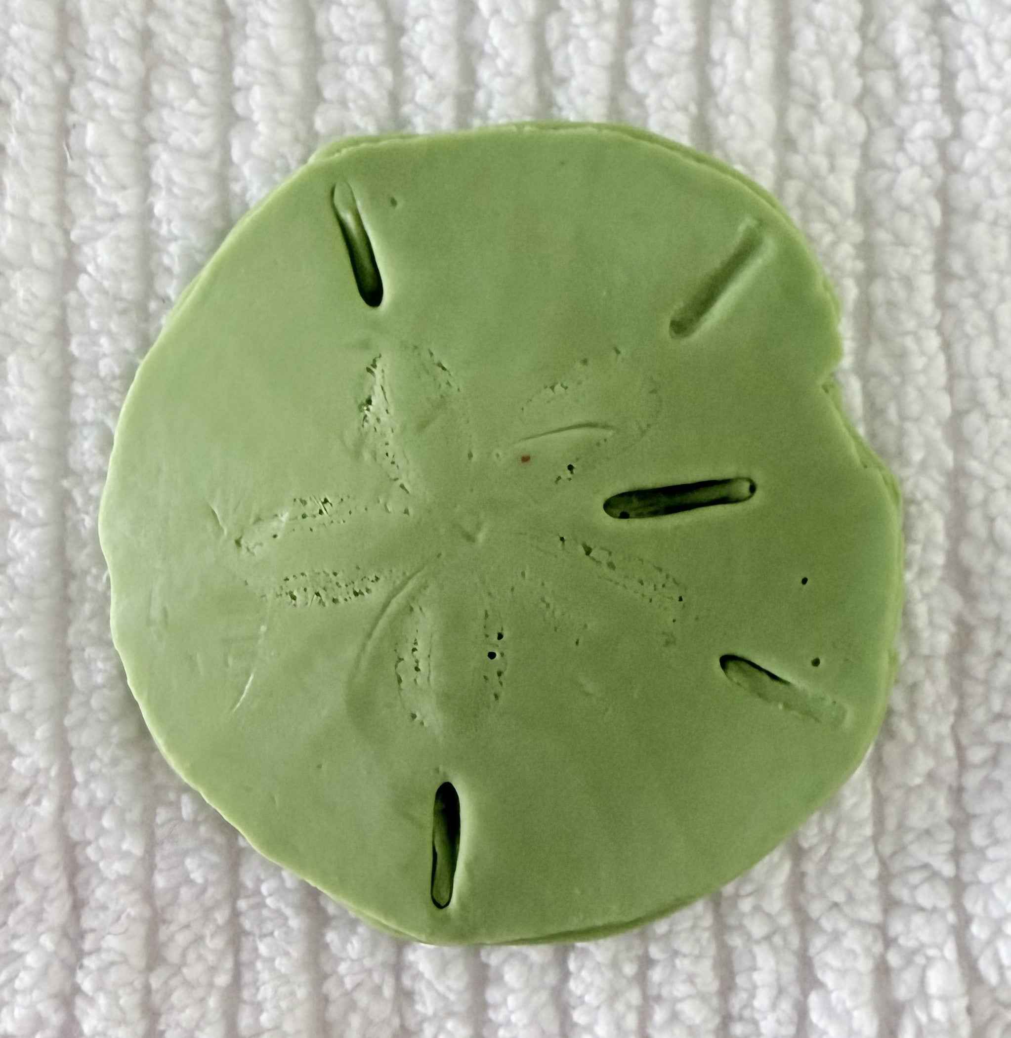 Coastal Calm Sand Dollar Collection Set of 2 Soap Bars
