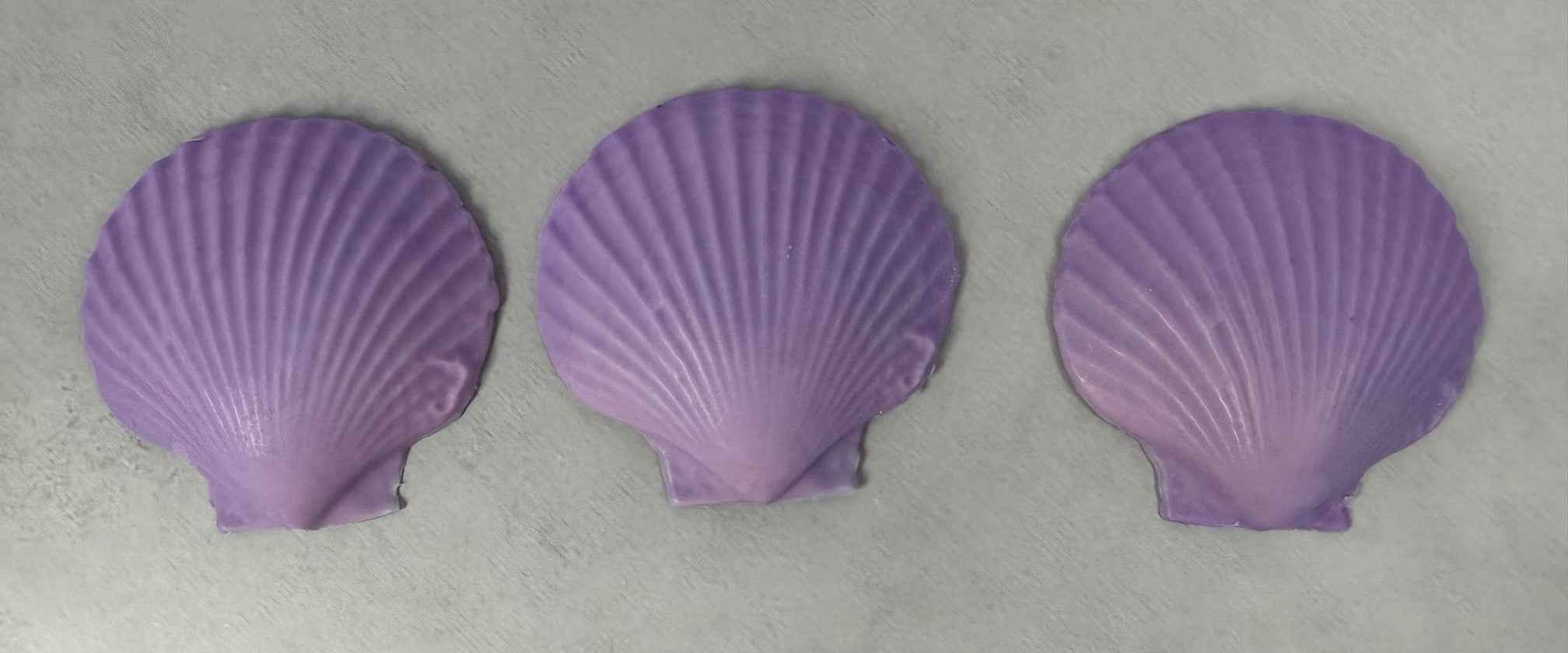 Scallop Shell Soap Set | Pack of 3 Handcrafted Bars | SLS Free | Choose Your Scent | Natural Bar Soap