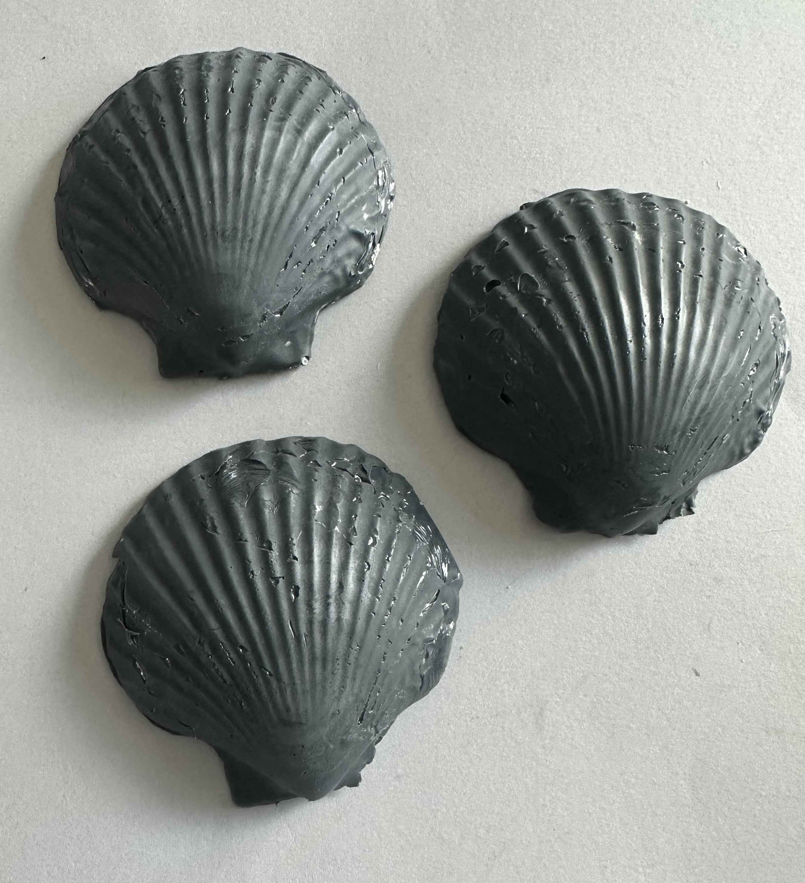 Scallop Shell Soap Set | Pack of 3 Handcrafted Bars | SLS Free | Choose Your Scent | Natural Bar Soap
