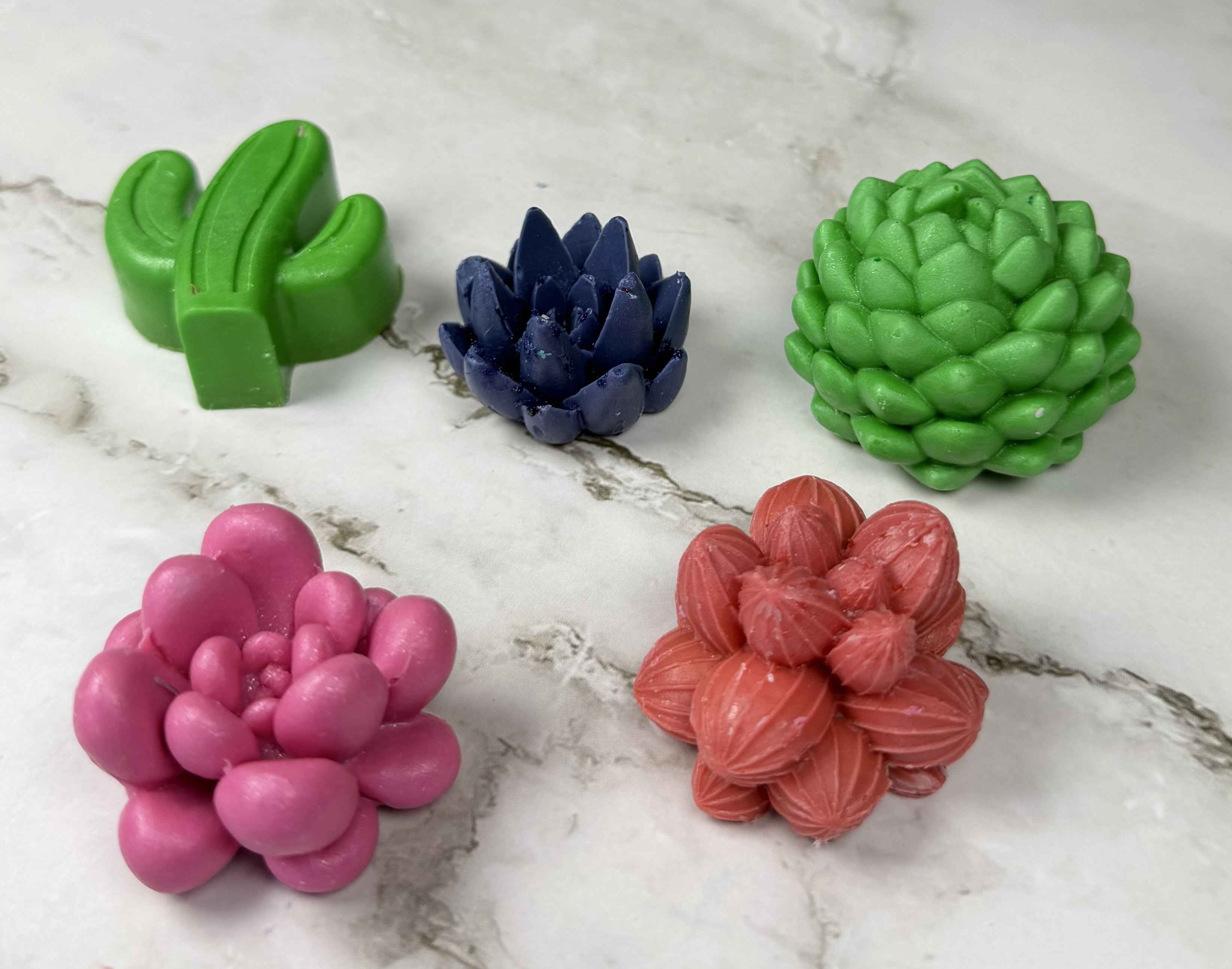 Succulent & Floral Soap Gift Set – 5 Pack of Handmade Bar Soaps | Veteran-Owned, Made in Florida