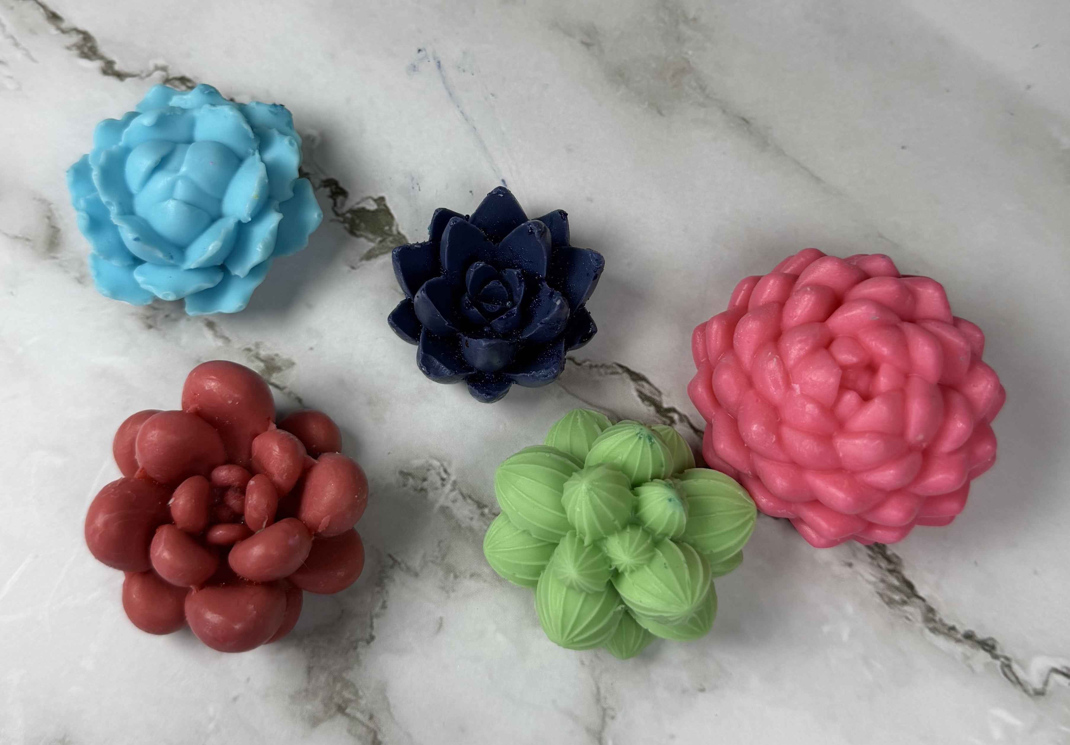 Succulent & Floral Soap Gift Set – 5 Pack of Handmade Bar Soaps | Veteran-Owned, Made in Florida