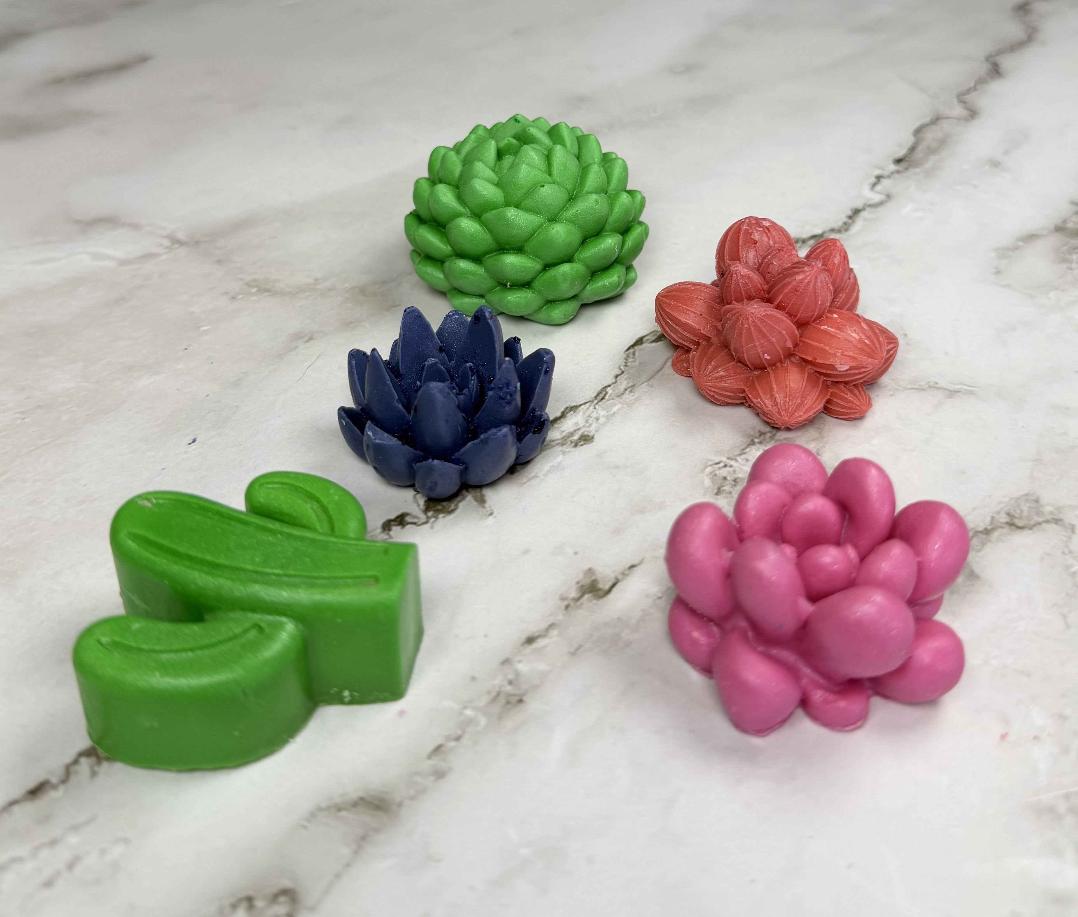 Succulent & Floral Soap Gift Set – 5 Pack of Handmade Bar Soaps | Veteran-Owned, Made in Florida