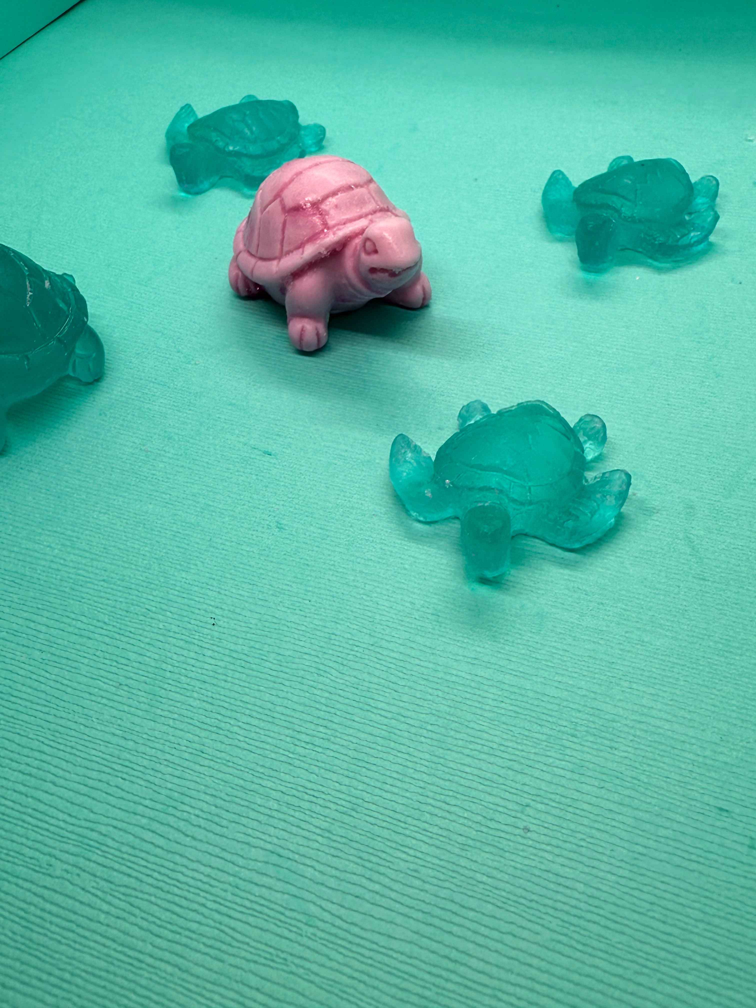 Mini Turtle Collection ๐ข