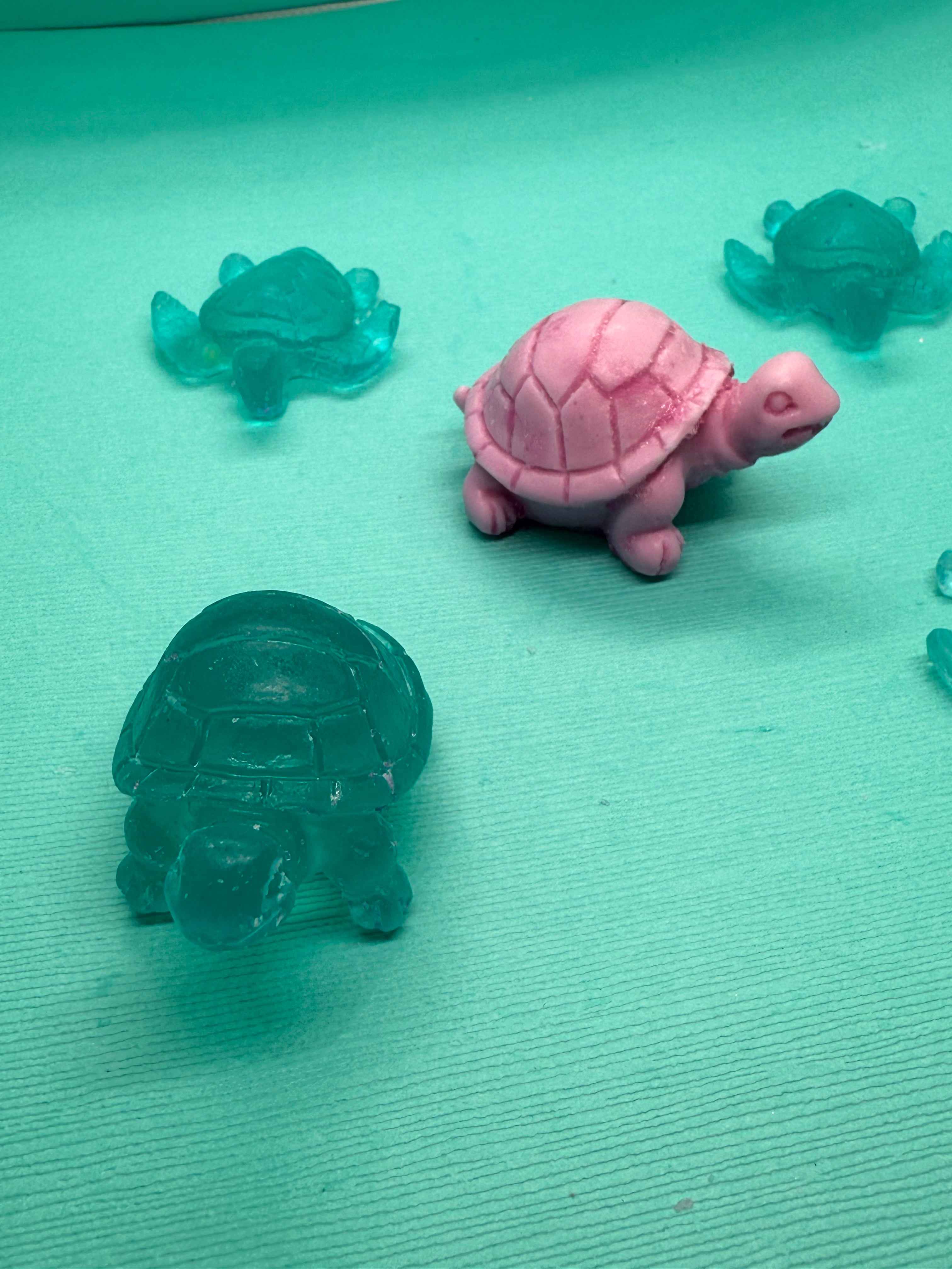 Mini Turtle Collection ๐ข