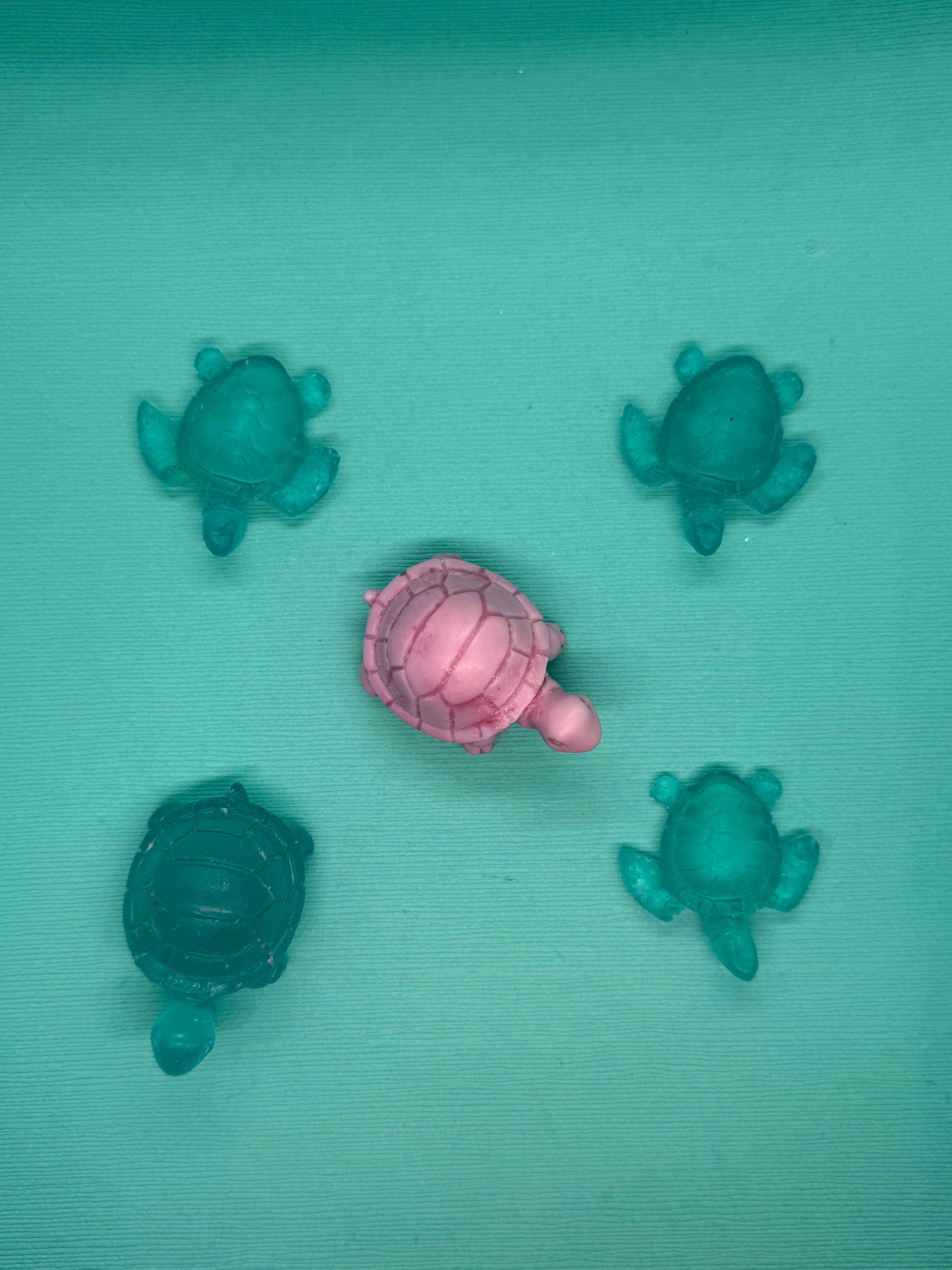 Mini Turtle Collection ๐ข