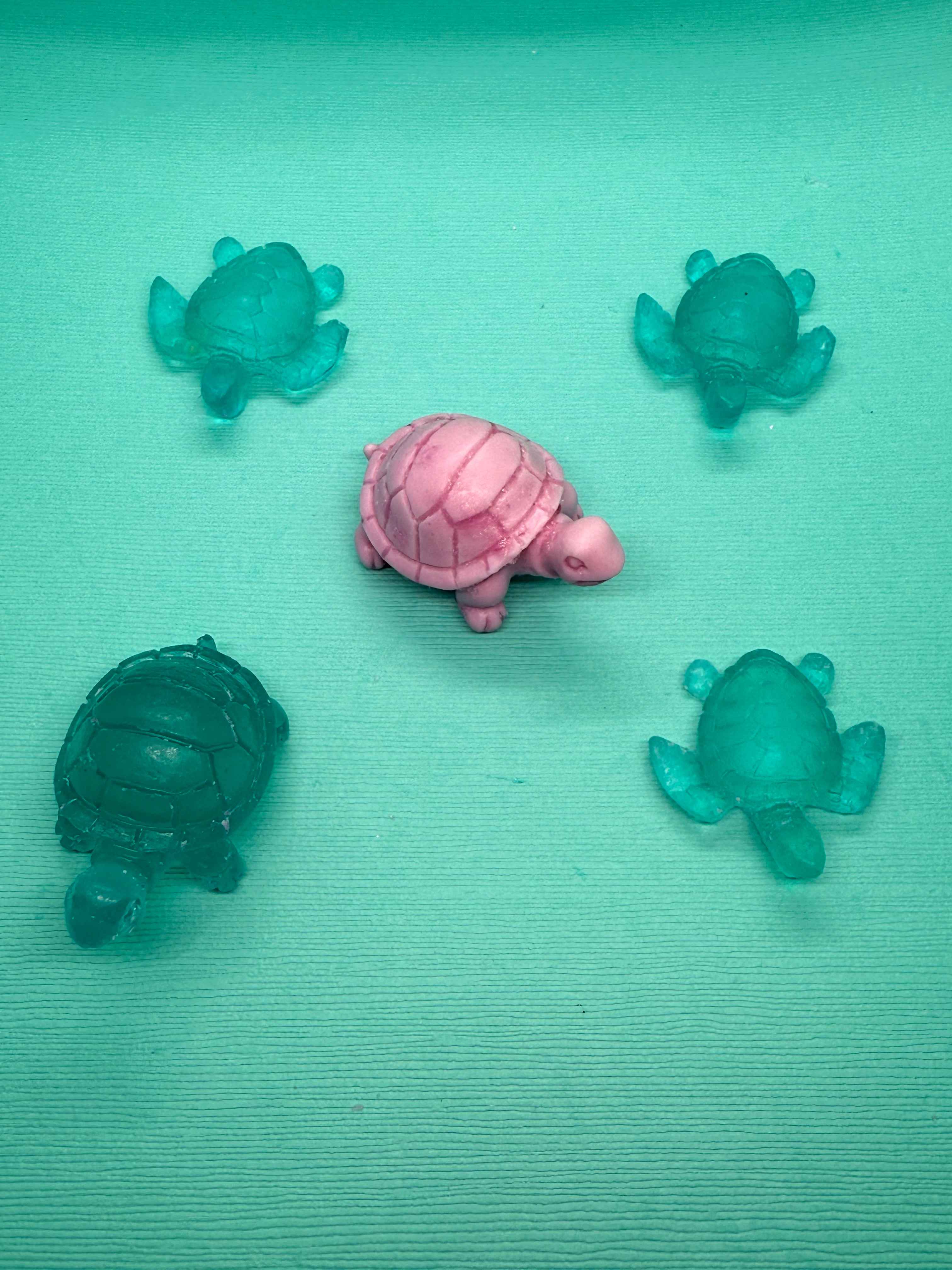 Mini Turtle Collection ๐ข
